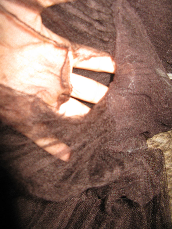 IMG_0137 IMG_0137
