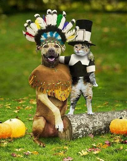 thanksgiving